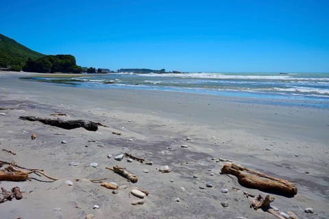 Extensive sandy beach with driftwood and gentle waves under a clear blue sky, West Coast, South