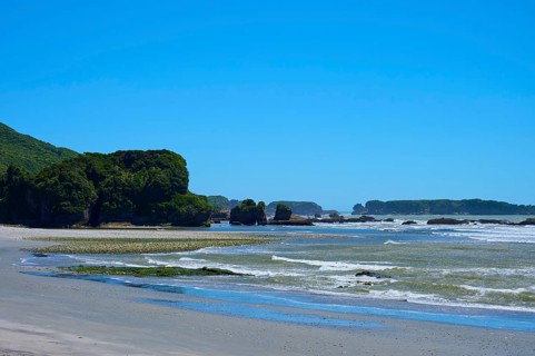 Coastal landscape with rocks, green hinterland and calm waves, West Coast, South Island, New