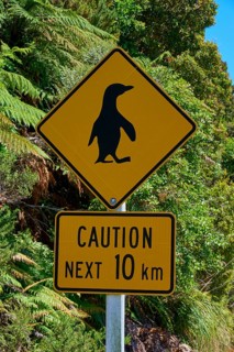 Yellow warning sign for penguins along a road with lush vegetation, West Coast, South Island, New