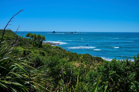 View of the coast with lush vegetation and waves, Cape Foulwind, West Coast, South Island, New