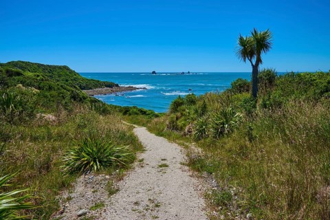 Path leads through green terrain to the sea under a bright sky, Cape Foulwind, West Coast, South