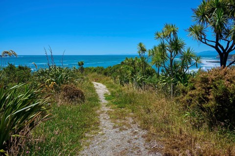 A path leads through the lush vegetation to the coast, Cape Foulwind, West Coast, South Island, New