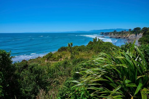 Lush vegetation against a vast ocean backdrop, Cape Foulwind, West Coast, South Island, New Zealand