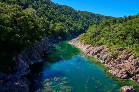 Clear river in rocky surroundings with dense forest along the gorge, Buller River, Murchison,