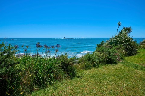 Lush vegetation with the sea in the background under a blue sky, Cape Foulwind, West Coast, South