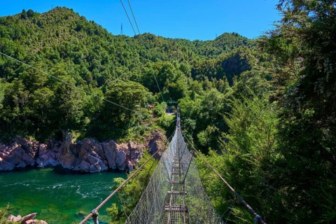 View from suspension bridge to river and dense forest, summer atmosphere, Buller Gorge Swing