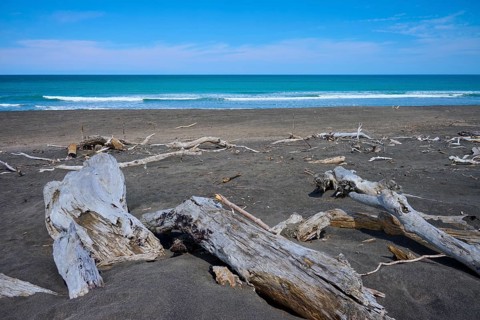 Tranquil coastal landscape with driftwood and calm sea views, Mana Bay, Patea, Taranaki, North