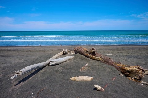 Several pieces of wood on a sand dune at the edge of the sea, Mana Bay, Patea, Taranaki, North
