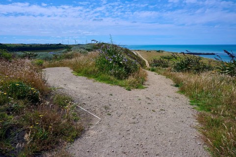 A sandy path leads through grassland to the distant sea under a blue sky, Mana Bay, Riverview