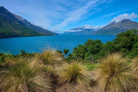 Tall grasses in the foreground with a view of a lake and surrounding mountains, Drift Bay, Lake