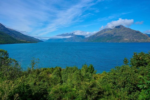 Landscape with lake and mountains, surrounded by green vegetation, Drift Bay, Lake Wakatipu,