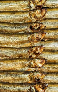 Detail shot showing lots of fresh smoked sprats