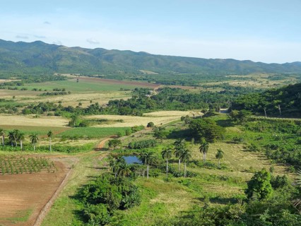 Tropical scene around Vinales Valley in Cuba, a island in the caribbean sea