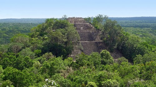 Overgrown temple at Calakmul, a mayan archaeological site in the mexican state of Campeche