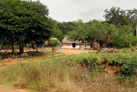 Part of a mayan village in Mexico