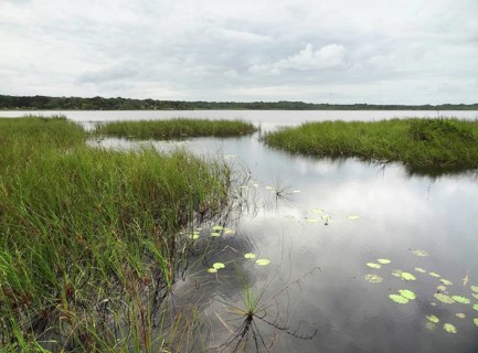 Idyllic wetlands scenery around Coba, a village in Mexico