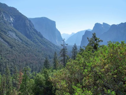 Idyllic panoramic view at the Yosemite National Park in California, USA