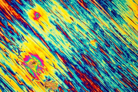 Microscopic shot of urea micro crystals in polarized light