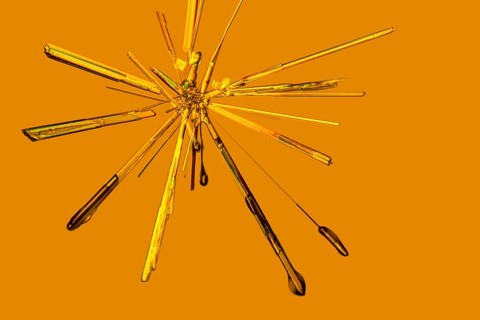Microscopic shot if some Iron (III) chloride microcrystals in fluid ambiance