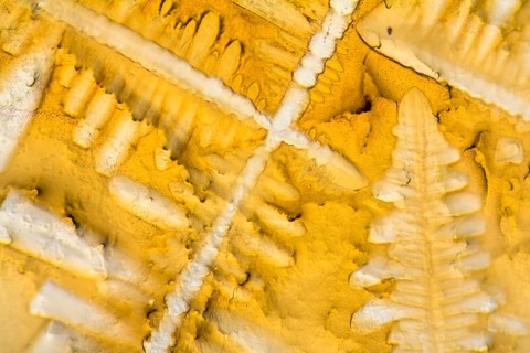 Microscopic shot showing the micro crystals of fluid seasoning
