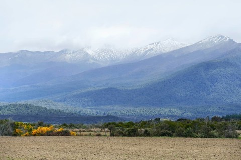 Landscape around Dunedin at the South Island of New Zealand