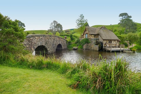 Idyllic scenery at The Shire represented by a region near Matama at the North Island of New Zealand