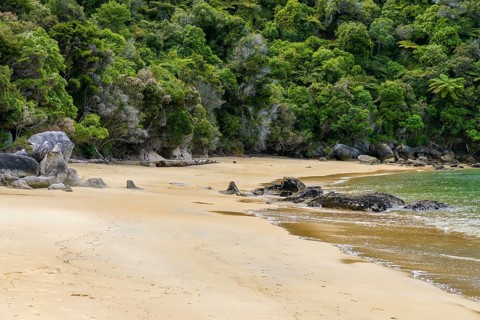 Coastal sunny scenery at the Abel Tasman National Park in New Zealand