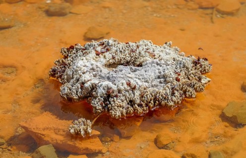 Detail of the Champagne Pool at a geothermal area named Waiotapu in New Zealand