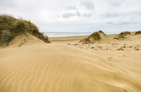 Scenery around the Ninety Mile Beach at the western coast of the North Island of New Zealand