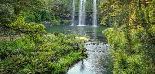 Natural scenery around Whangarei Falls in New Zealand