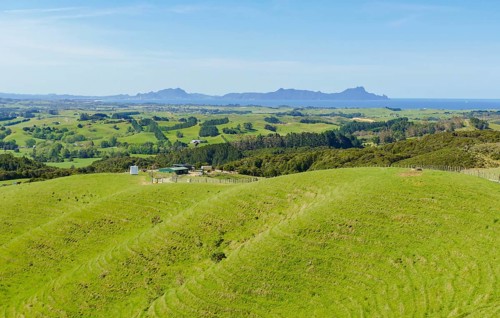 Idyllic rural scenery around the Auckland Region at the North Island of New Zealand