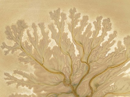 Abstract patterns at low tide in the marshland of the Nature Reserve La Breña y Marismas del