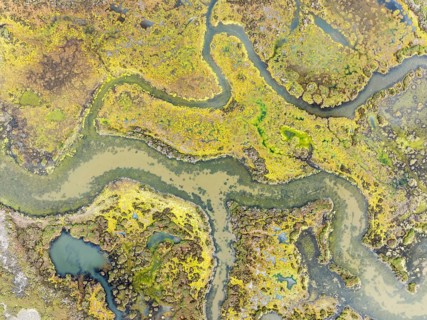 Marshland at low tide. Nature Reserve La Breña y Marismas del Barbate. Aerial view. Drone shot.