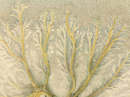 Abstract patterns at low tide in the marshland of the Nature Reserve La Breña y Marismas del