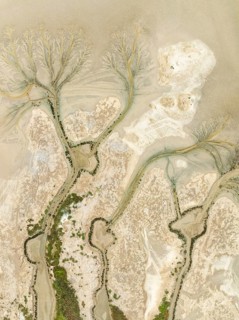 Abstract patterns at low tide in the marshland of the Nature Reserve La Breña y Marismas del