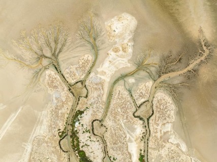 Abstract patterns at low tide in the marshland of the Nature Reserve La Breña y Marismas del