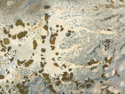 Marshland at low tide. Nature Reserve La Breña y Marismas del Barbate. Aerial view. Drone shot.