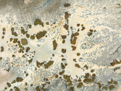 Marshland at low tide. Nature Reserve La Breña y Marismas del Barbate. Aerial view. Drone shot.
