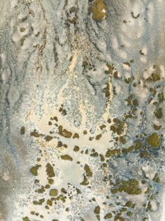 Marshland at low tide. Nature Reserve La Breña y Marismas del Barbate. Aerial view. Drone shot.