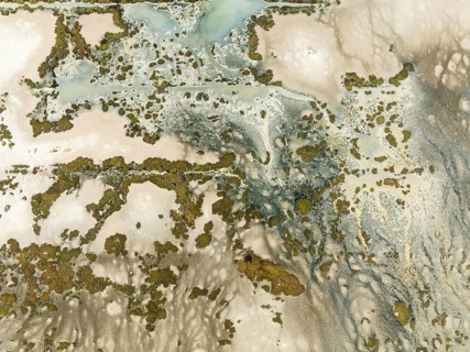 Marshland at low tide. Nature Reserve La Breña y Marismas del Barbate. Aerial view. Drone shot.