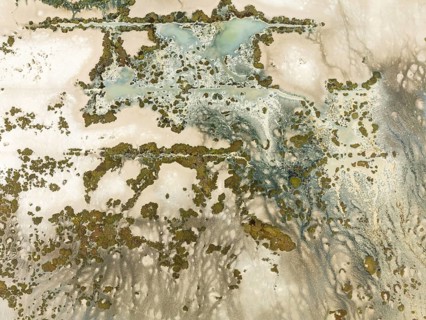 Marshland at low tide. Nature Reserve La Breña y Marismas del Barbate. Aerial view. Drone shot.