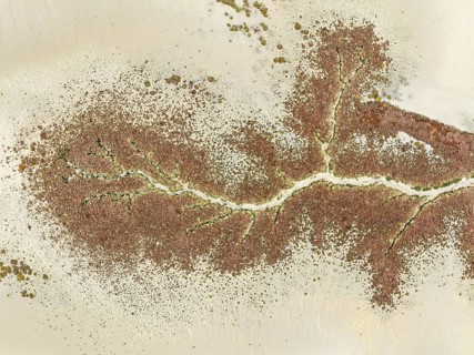 Abstract patterns at low tide in the marshland of the Nature Reserve La Breña y Marismas del