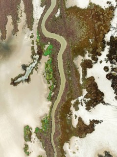 Marshland at low tide. Nature Reserve La Breña y Marismas del Barbate. Aerial view. Drone shot.