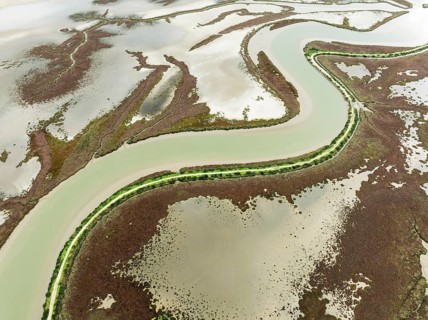 The Barbate river and surrounding marshland at low tide. Nature Reserve La Breña y Marismas del