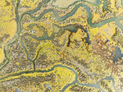Marshland at low tide. Nature Reserve La Breña y Marismas del Barbate. Aerial view. Drone shot.