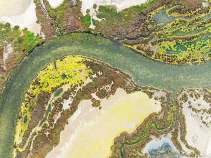 Marshland at low tide. Nature Reserve La Breña y Marismas del Barbate. Aerial view. Drone shot.