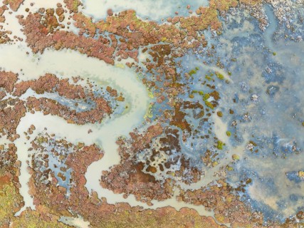 Marshland at low tide. Nature Reserve La Breña y Marismas del Barbate. Aerial view. Drone shot.