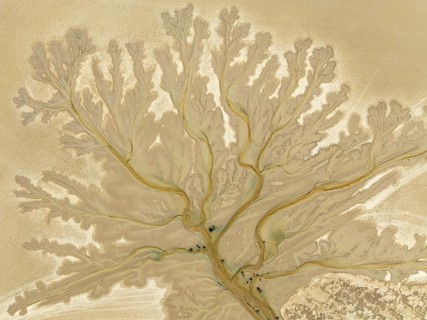 Abstract patterns at low tide in the marshland of the Nature Reserve La Breña y Marismas del