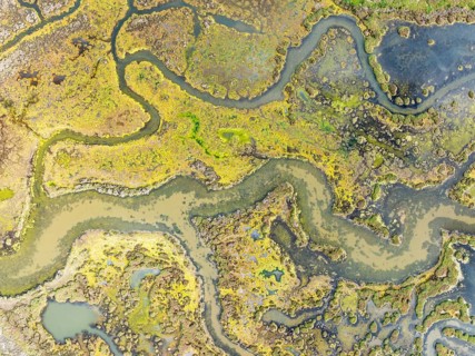 Marshland at low tide. Nature Reserve La Breña y Marismas del Barbate. Aerial view. Drone shot.