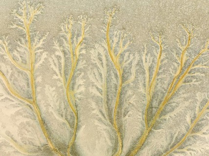 Abstract patterns at low tide in the marshland of the Nature Reserve La Breña y Marismas del